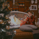 Deck the Halls With All the Stuff You Need to Get Your Home Christmas-Ready
